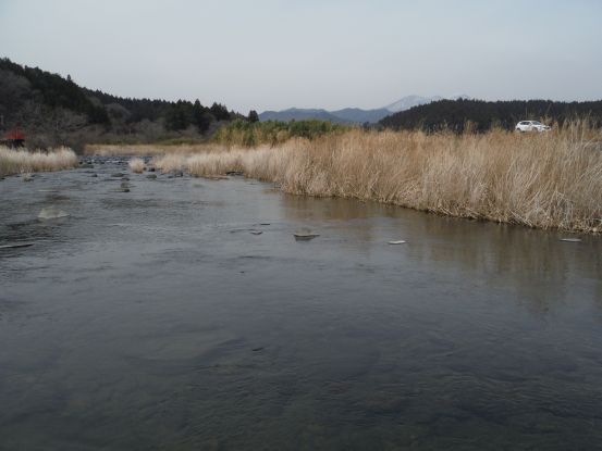 b0172805_11294450.jpg