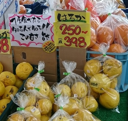 山村留学修園のつどい前日の甘いおやつ…_d0265607_19204855.jpg