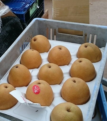 山村留学修園のつどい前日の甘いおやつ…_d0265607_19204888.jpg