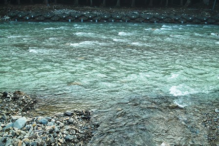 濃い霧・・奥山の朝　　　朽木小川・気象台より_c0044819_724318.jpg