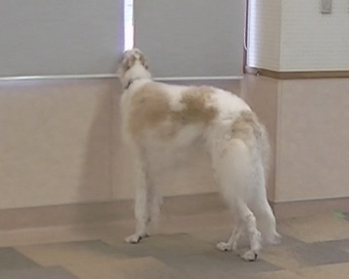 e0190220_237850.jpg