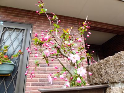 a0050728_12483588.jpg