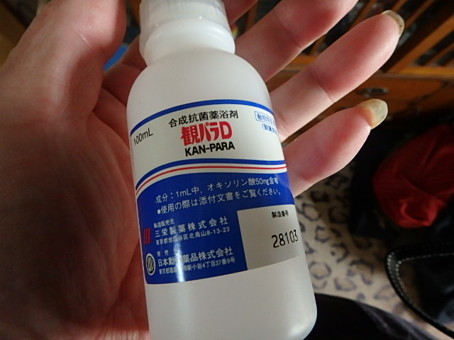 f0334143_1012845.jpg