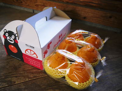デコポン(肥後ポン) プレミアムオレンジ&蔵出し完熟デコポン『不知火』まもなく販売スタート_a0254656_17121141.jpg