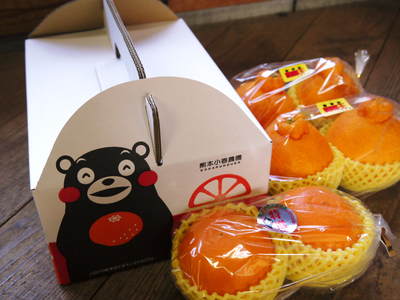 デコポン(肥後ポン) プレミアムオレンジ&蔵出し完熟デコポン『不知火』まもなく販売スタート_a0254656_17243286.jpg