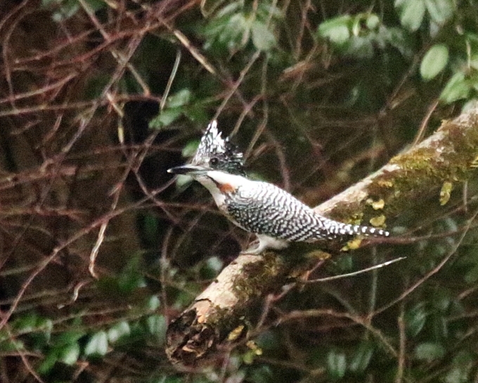 丹沢2015⑦_b0287468_01063982.jpg