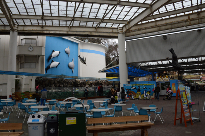 2015年5月に閉館予定!マリンピア松島水族館写真&動画_e0171573_20132384.jpg