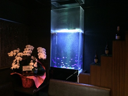 3/21 店長日記_e0173381_18124524.jpg