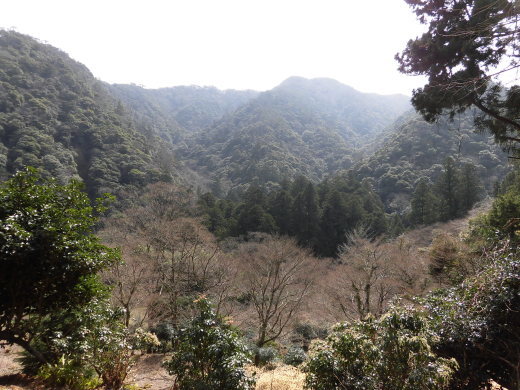 b0231886_16381876.jpg