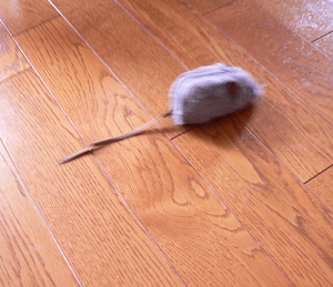 a0333195_11531397.png