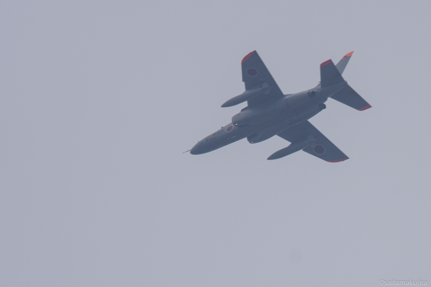 2015年3月20日 いつもの河原に小さな春_f0108797_1950398.jpg