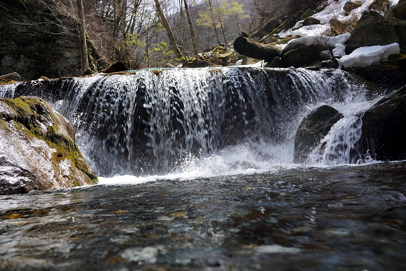 c0339900_8443188.jpg