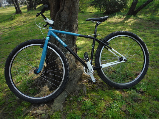 讃岐うどんサイクリング 2015 春_c0132901_18531531.jpg