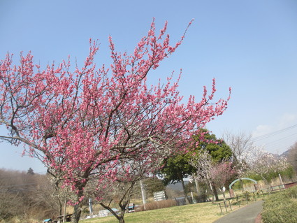 c0212604_17594045.jpg
