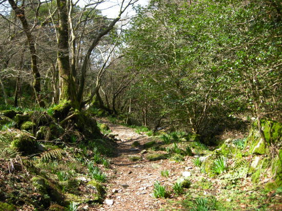f0196109_17003663.jpg