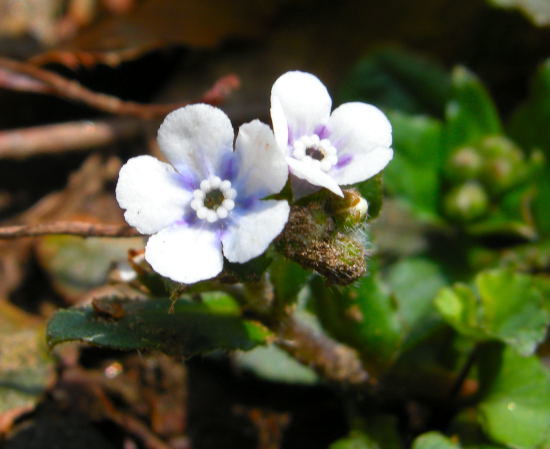 f0196109_17254553.jpg