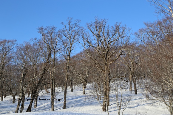 b0062024_22112557.jpg