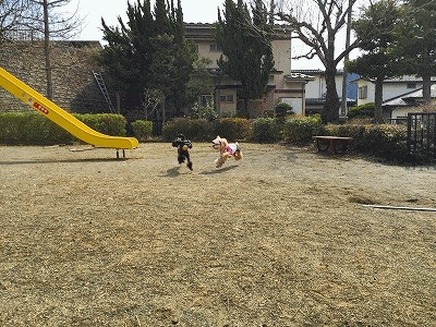 f0326925_22283191.gif