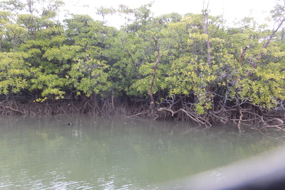 f0214327_1610935.jpg