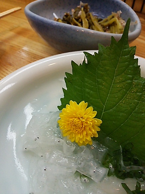 あなごの稚魚 のれそれ 食品ロス削減料理研究家ブログ行長万里 日本全国 美味しい話