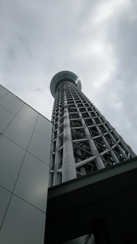 庭の花も春模様_f0114128_1742496.jpg