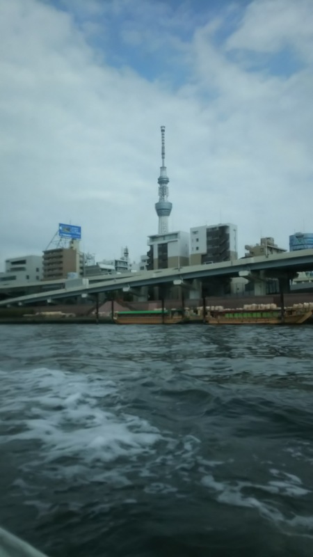 庭の花も春模様_f0114128_178212.jpg