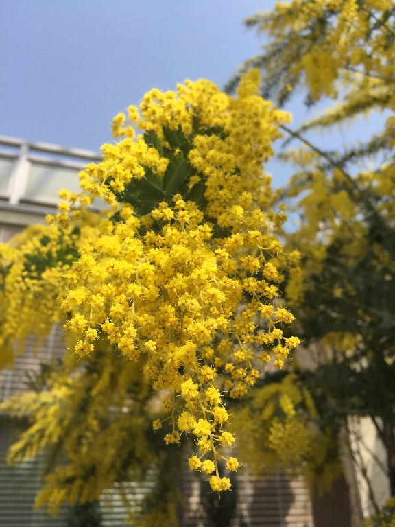 c0113733_18144481.jpg