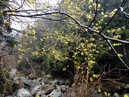 a0056140_1762958.gif