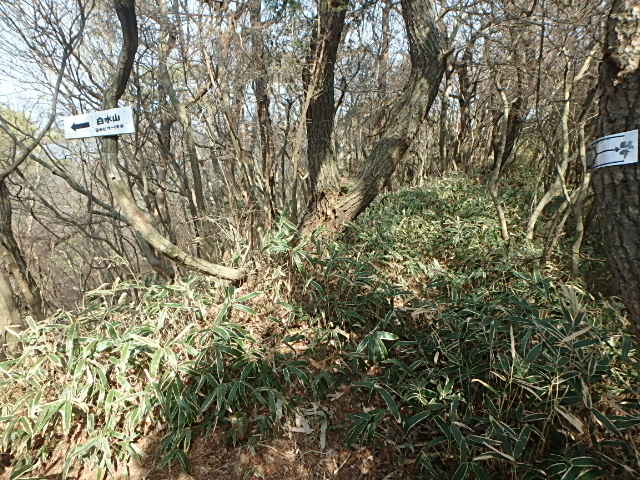 f0334143_22471518.jpg