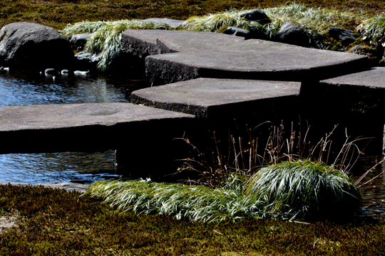 c0093046_18513561.gif