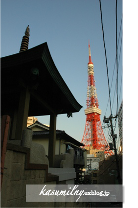 f0063659_932596.png