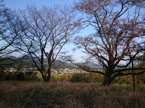 b0149867_01160109.jpg