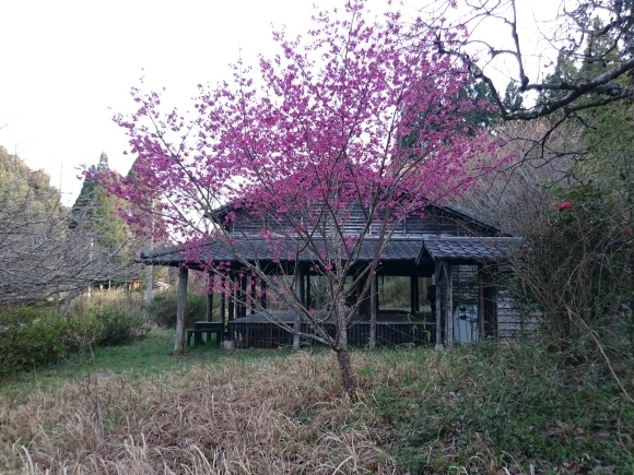 b0149867_01173605.jpg