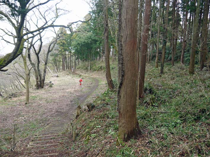 もう一息！園路のどこからも夫婦桜：六国見山3月定例手入れ_c0014967_6292138.jpg