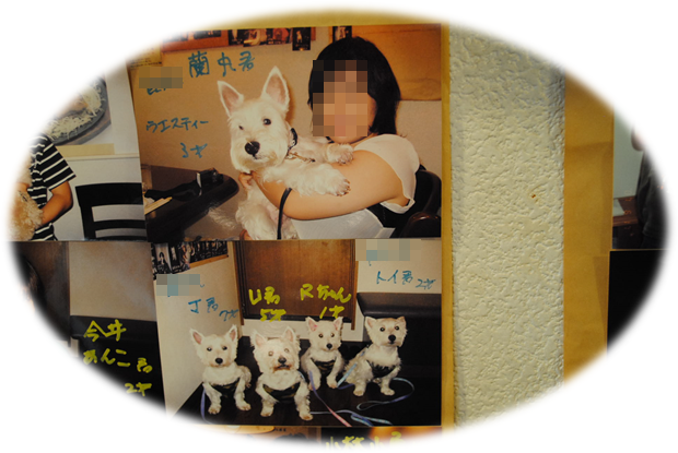 b0242873_09011421.png
