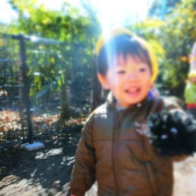 トトロからの手紙。_c0293682_21443419.jpg