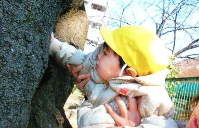 トトロからの手紙。_c0293682_21444058.jpg
