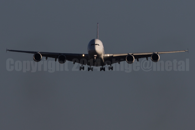 2015/02/14 初成田空港 Vol2_f0346982_00352130.jpg