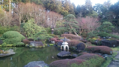牛久キャンペーン_e0119092_12221870.jpg