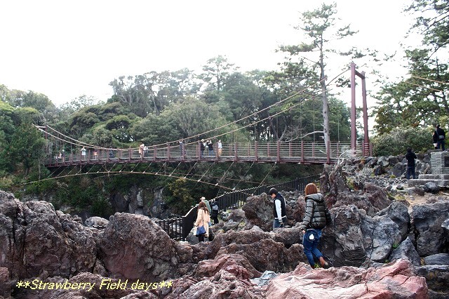 伊豆旅行　城ケ崎海岸とくつろぎのお宿_c0087094_00191416.jpg