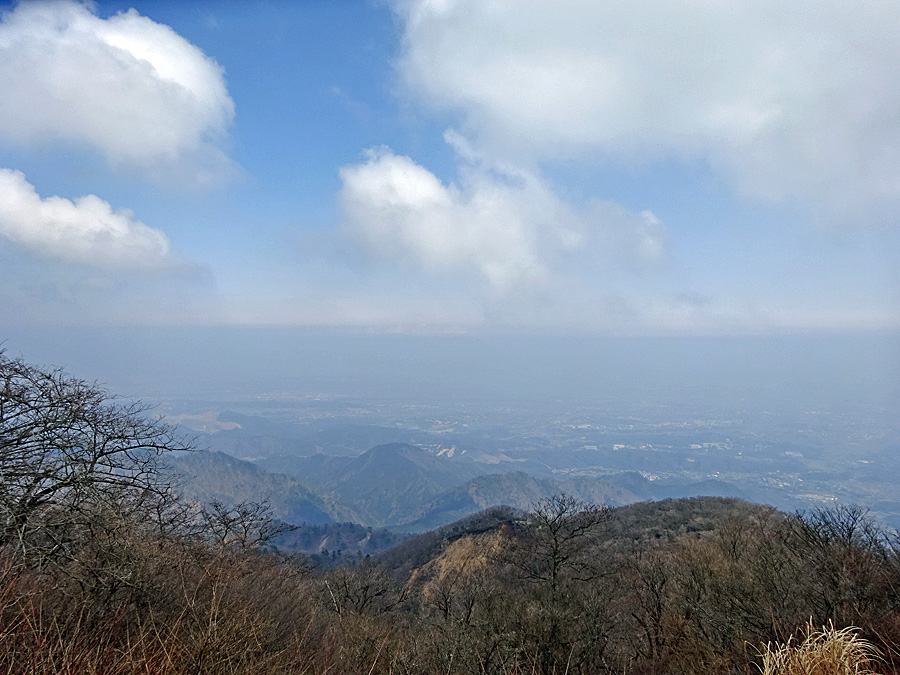 b0172203_1410717.jpg