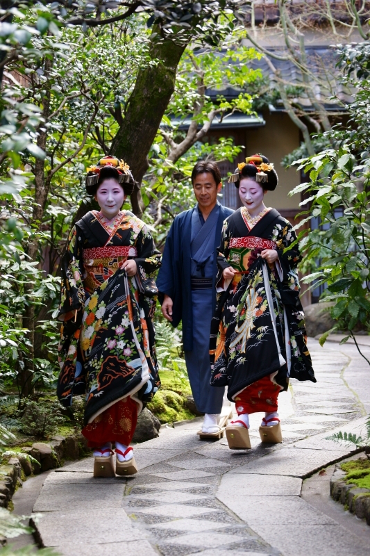 祇園甲部舞妓まめ柳とまめ春 見世出し１ Deep Season