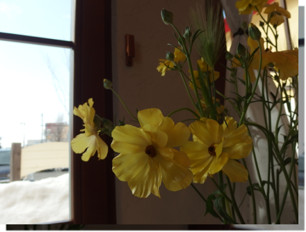 a0114514_18515434.png