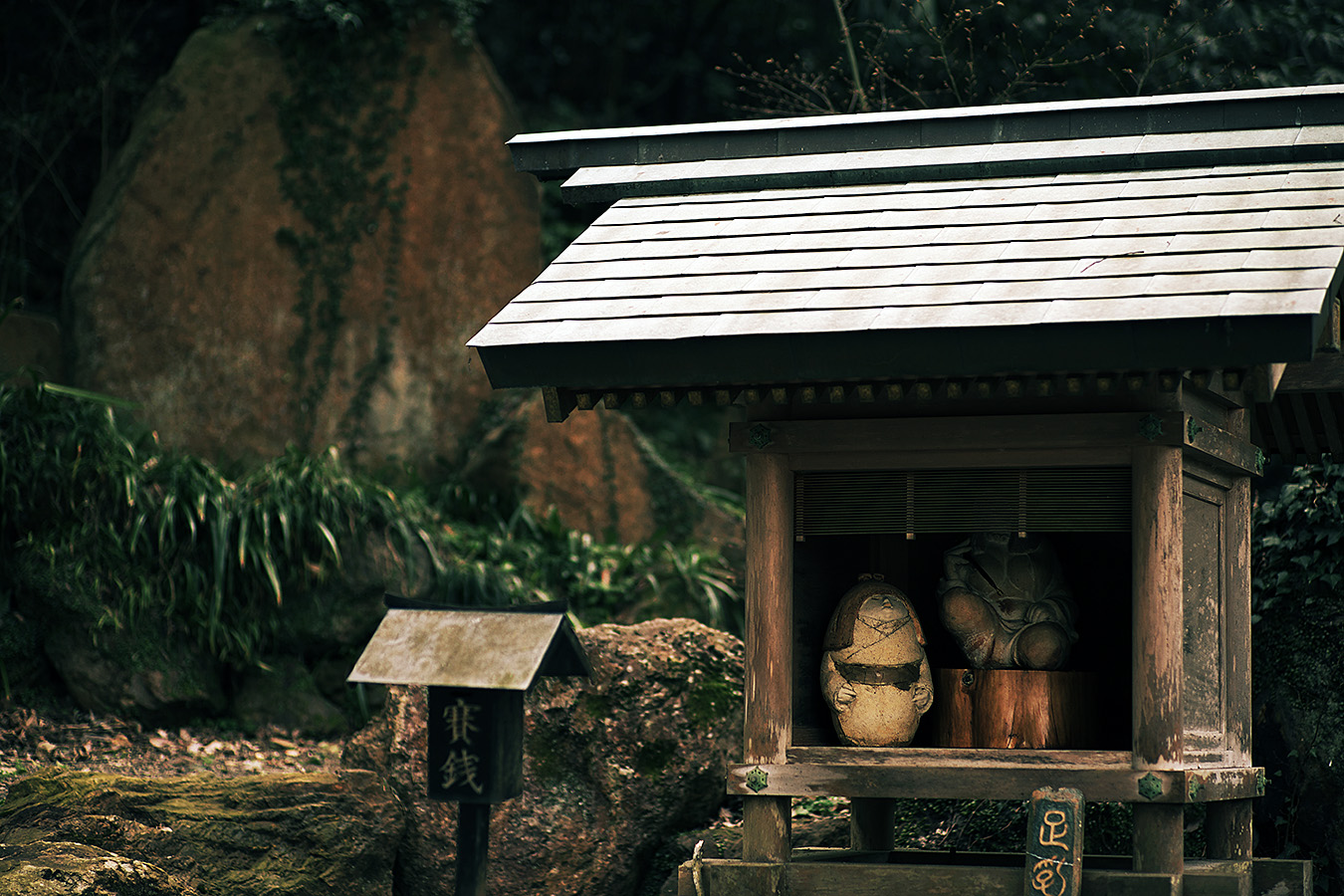 鵜飼桜2015（岐阜護國神社）_c0115616_21141277.jpg