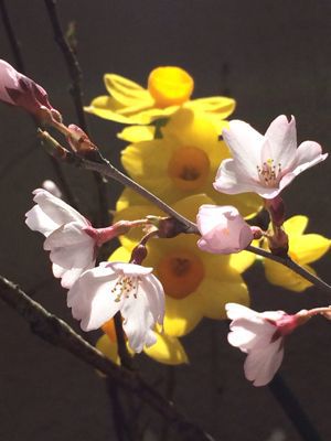 f0143521_0452472.jpg