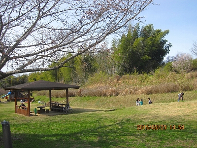 f0193521_19555166.jpg