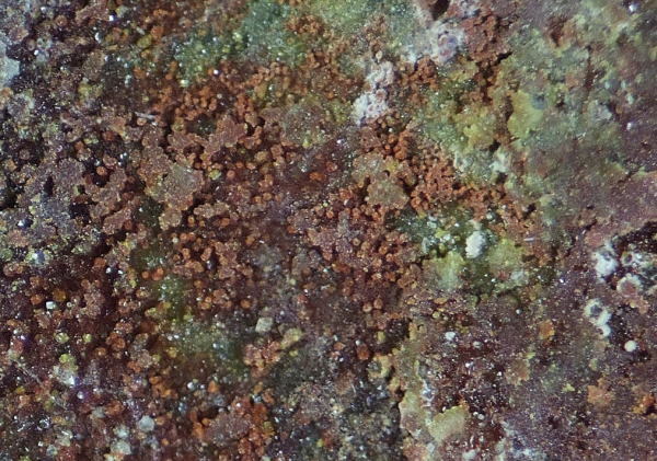 d0045626_21465531.jpg