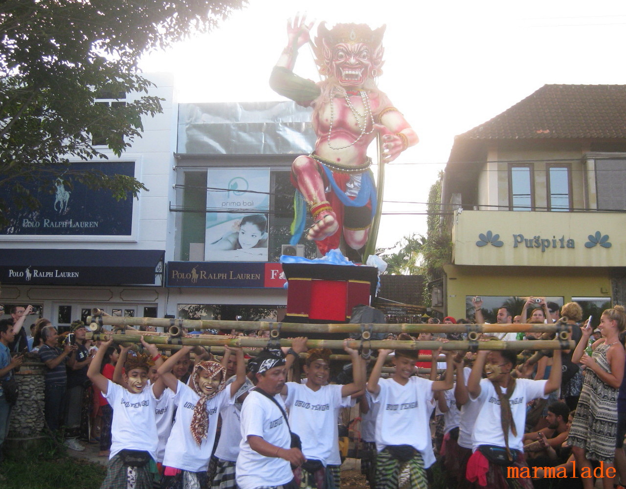 2015年　Ｕｂｕｄオゴオゴ　！_f0191927_23471357.jpg