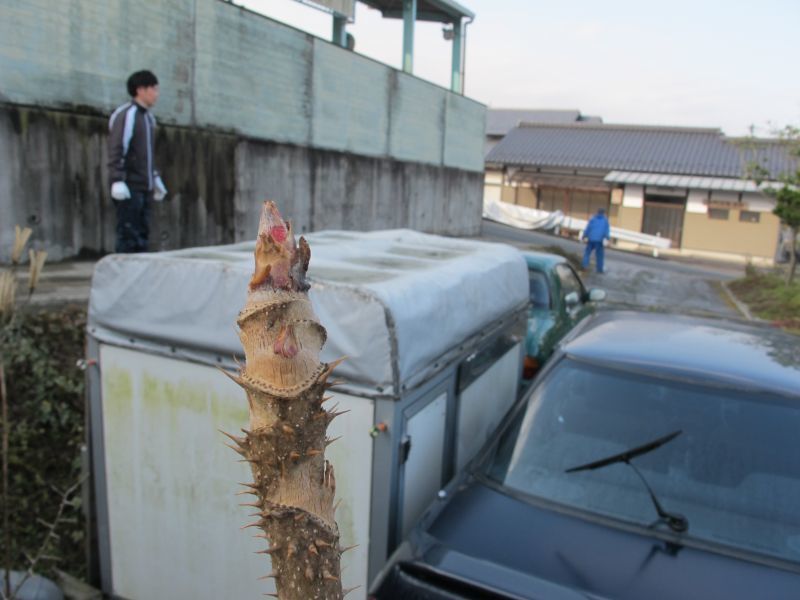 軽自動車の原点と工房の改善_f0076731_18223979.jpg