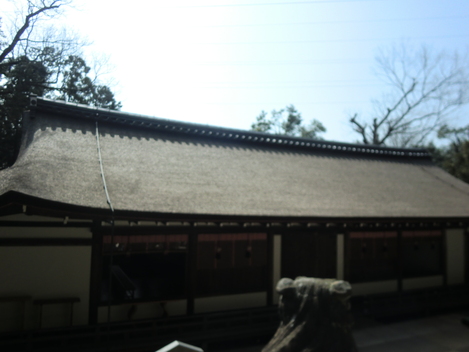 c0236632_8282448.jpg